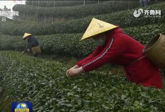 樊祥成：新冠肺炎疫情給農(nóng)業(yè)農(nóng)村發(fā)展帶來的困難只是暫時(shí)的