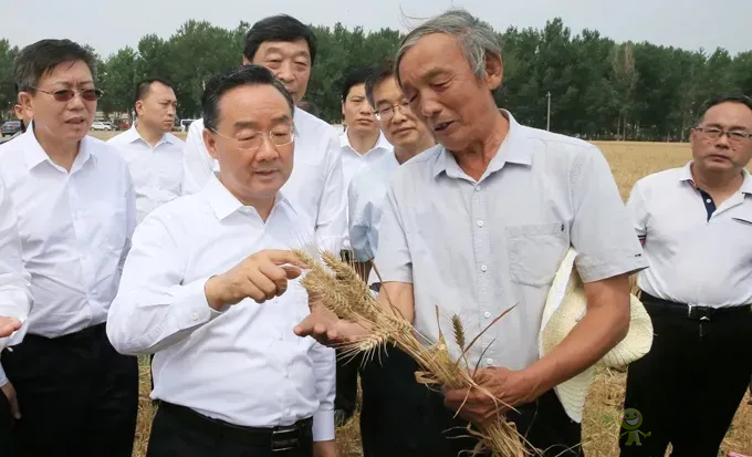 唐仁健部長(zhǎng)：今年夏糧再獲豐收！多地機(jī)收損耗降低1個(gè)百分點(diǎn)以上！