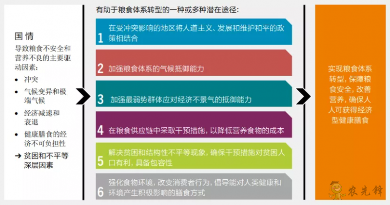 全球12%的人口面臨重度糧食不安全 世界糧食體系亟待轉(zhuǎn)型