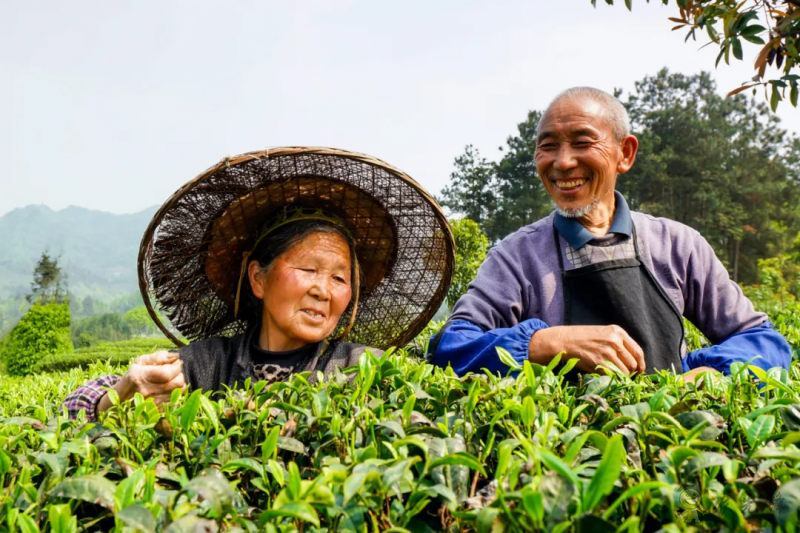 農(nóng)業(yè)國(guó)際貿(mào)易高質(zhì)量發(fā)展基地首場(chǎng)片區(qū)交流活動(dòng)成功舉辦