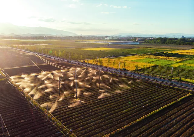 8 月 30 日，湖南省永州市道縣清塘鎮(zhèn)濂溪大洞蔬菜基地，灌溉系統(tǒng)在給蔬菜澆水 陳思汗攝 / 本刊